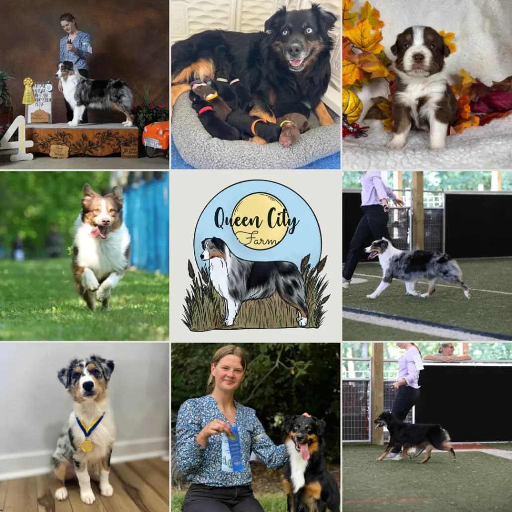 A Year of Milestones: Our 2025 Recap